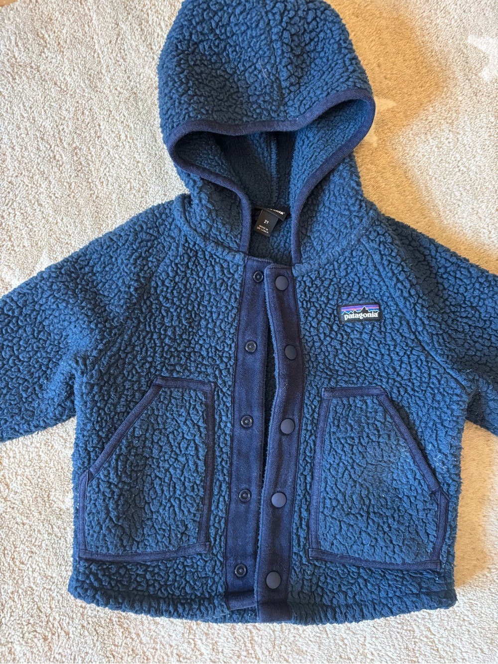 Patagonia Kids Blue Fleece Hooded Jacket